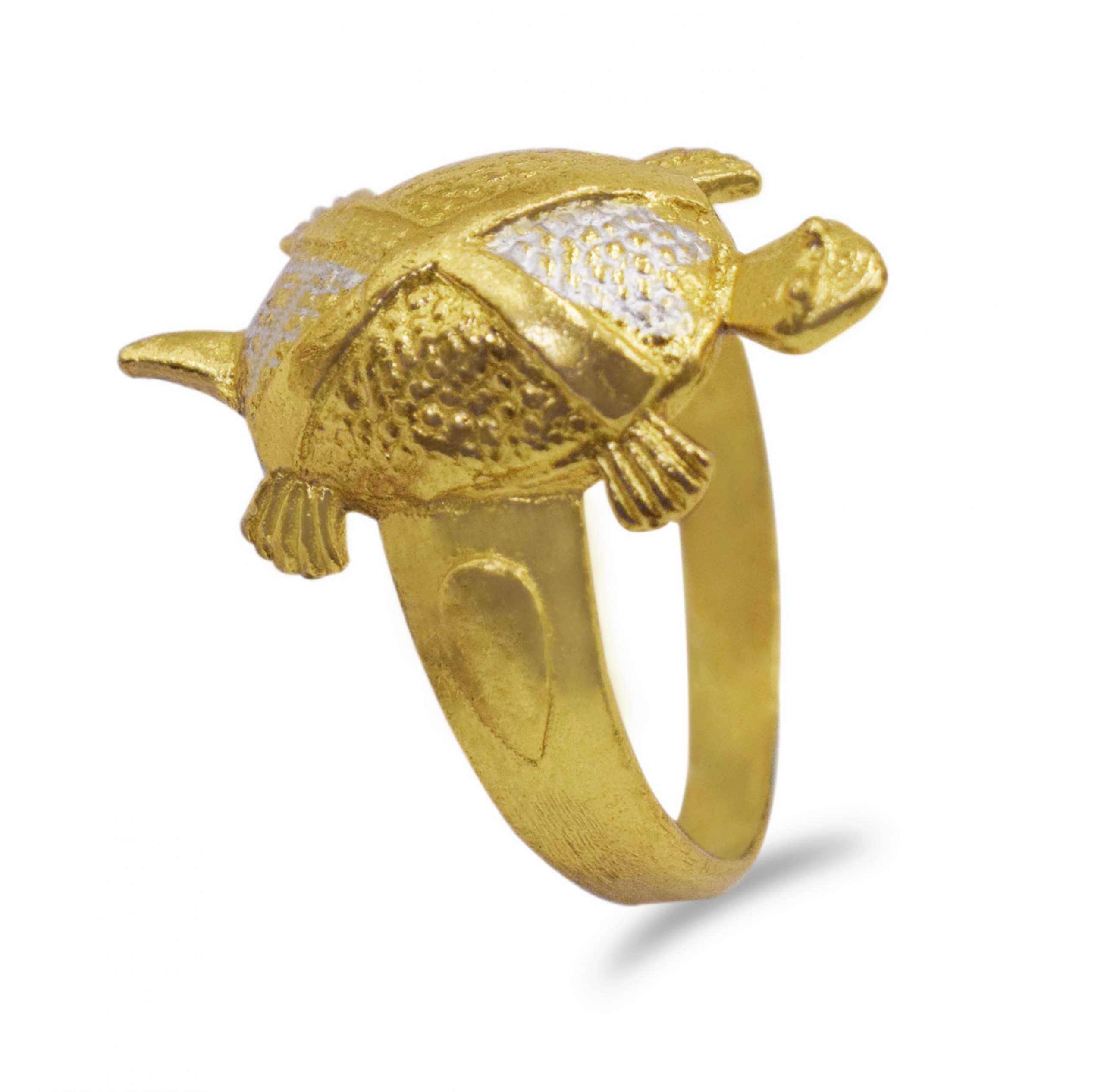 Turtle Ring: ये 4 राशि के लोग भूलकर भी न पहनें कछुए की अंगूठी, कंगाल होने  के साथ करियर भी हो जाएगा तबाह | turtule ring tips these people should not  wear
