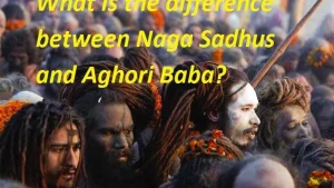 Naga sadhus at the kumb mela
